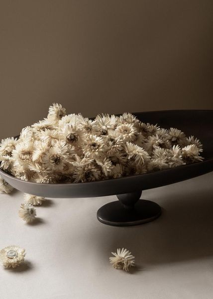 Hovedbilde Pavot Centerpiece