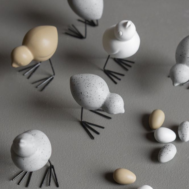 Hovedbilde Swedish Birds