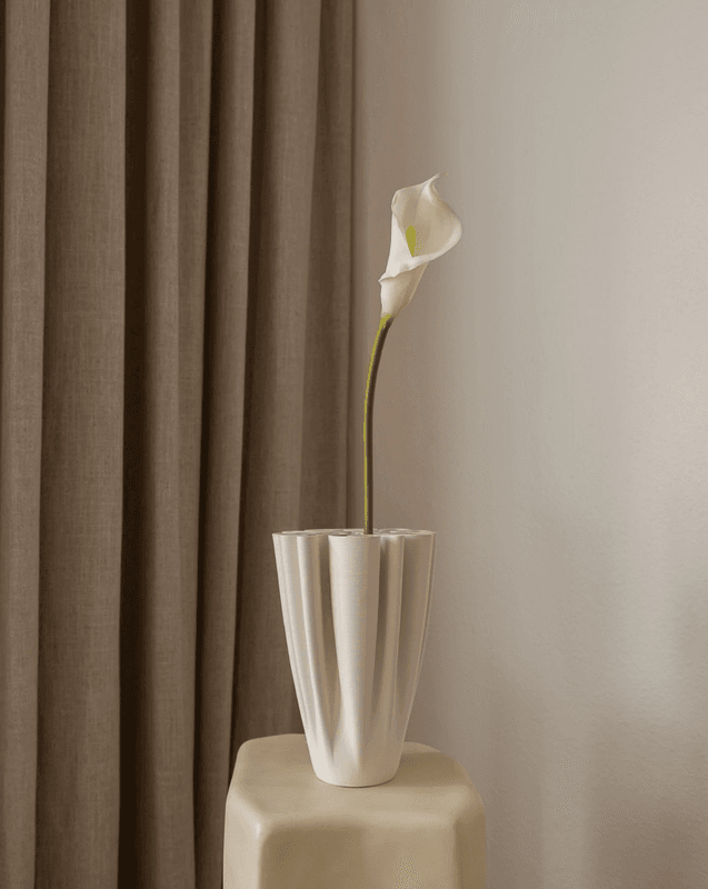 Calla Lily Flower