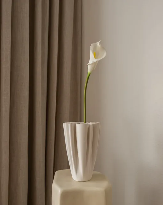 Hovedbilde Calla Lily Flower