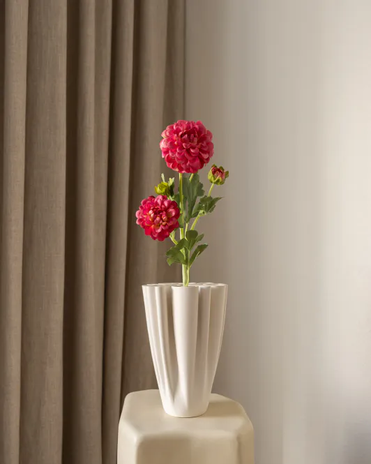 Hovedbilde Dahlia