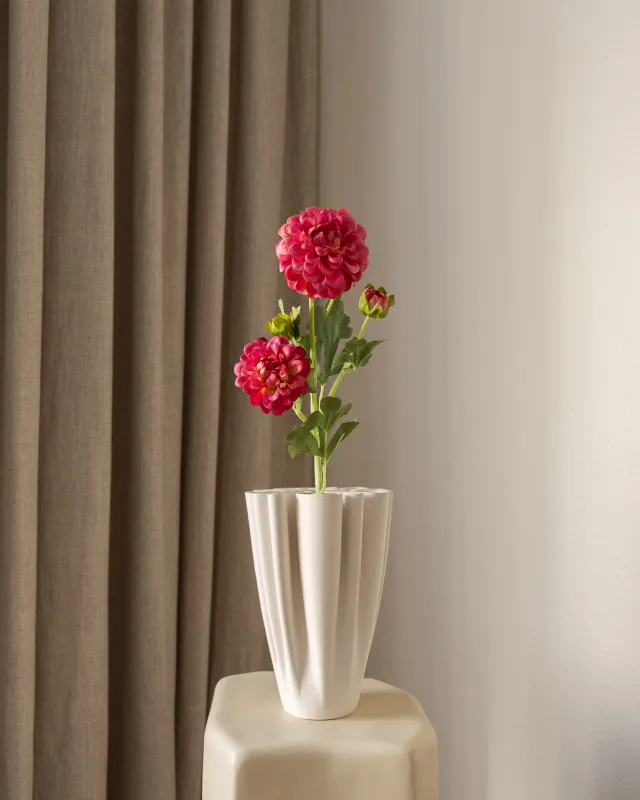 Dahlia