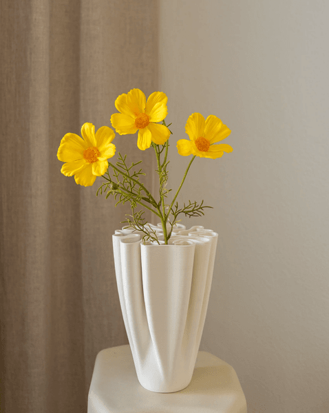 Hovedbilde Cosmos Flower