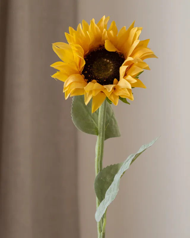 Sunflower Small
