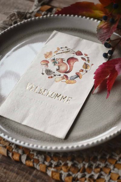 Hovedbilde Serviett Velbekomme – Ekorn – 33×44 ...