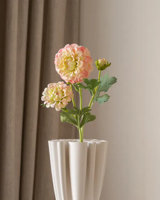 Hovedbilde Dahlia