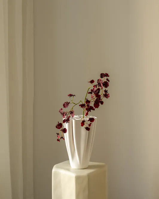 Hovedbilde Dancing Lady Orchid Burgundy