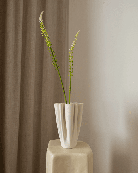 Hovedbilde Foxtail Grass