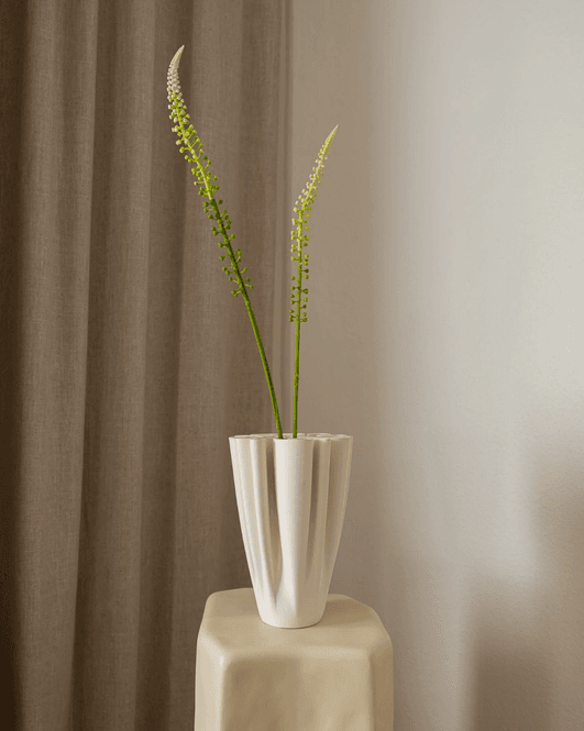 Hovedbilde Foxtail Grass