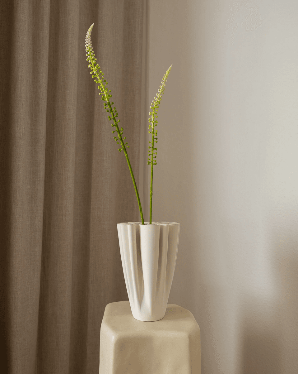 Foxtail Grass
