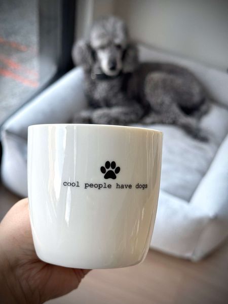Hovedbilde Sögne Kopp - Cool people have dogs