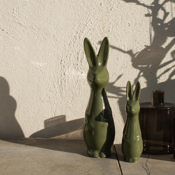 Hovedbilde Swedish Rabbit Large
