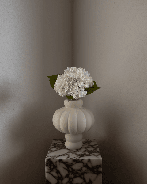 Hovedbilde Hydrangea Flower