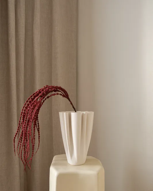 Hovedbilde Amaranthus Burgundy
