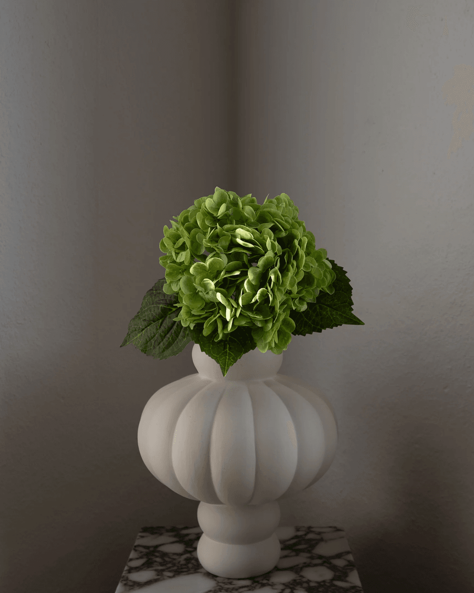 Hydrangea Flower