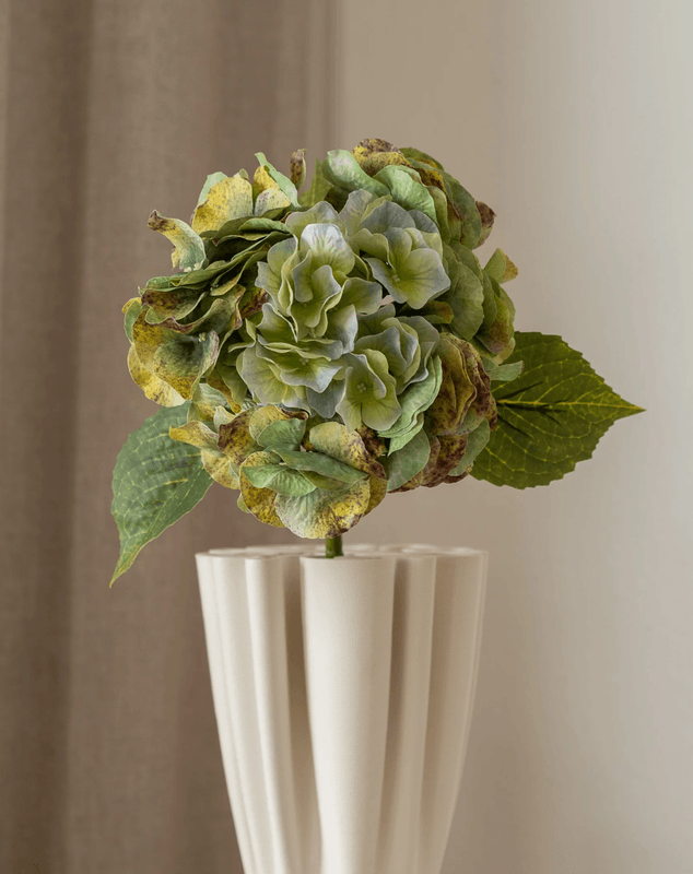 Hydrangea Flower