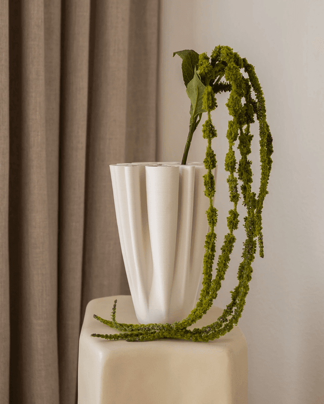 Amaranthus 125cm