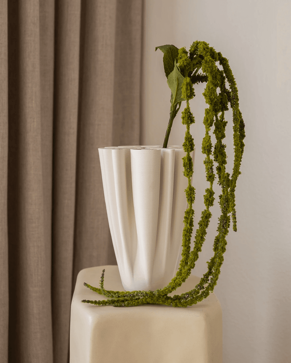 Amaranthus 125cm
