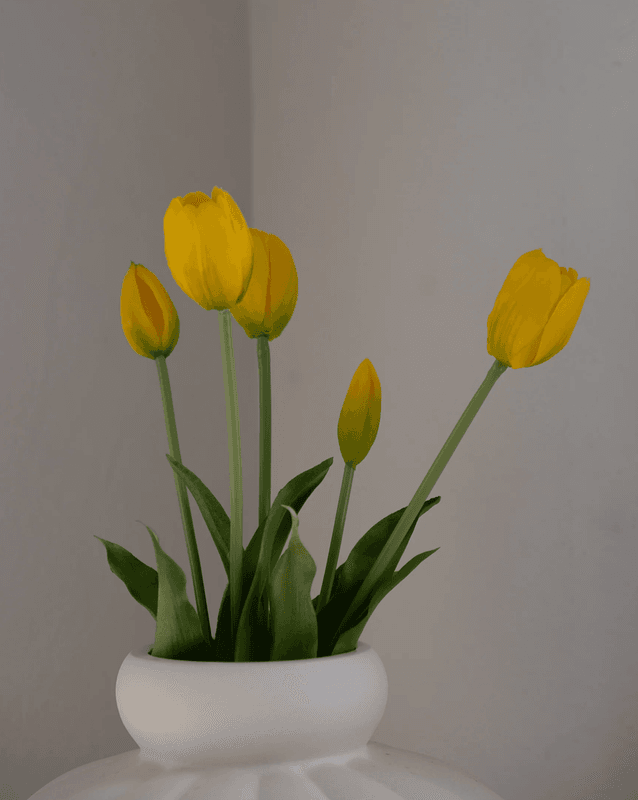 Tulip Bouquet
