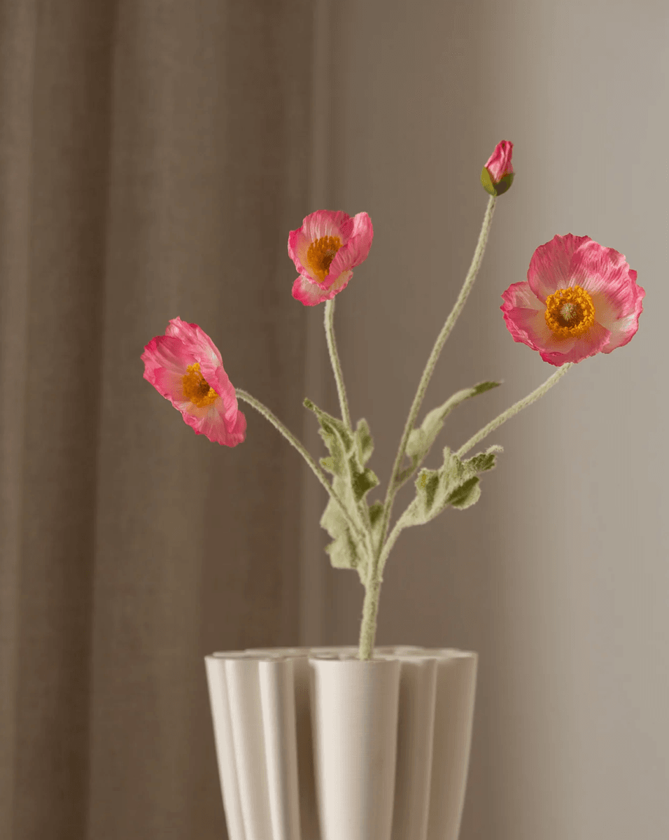 Poppy Flower